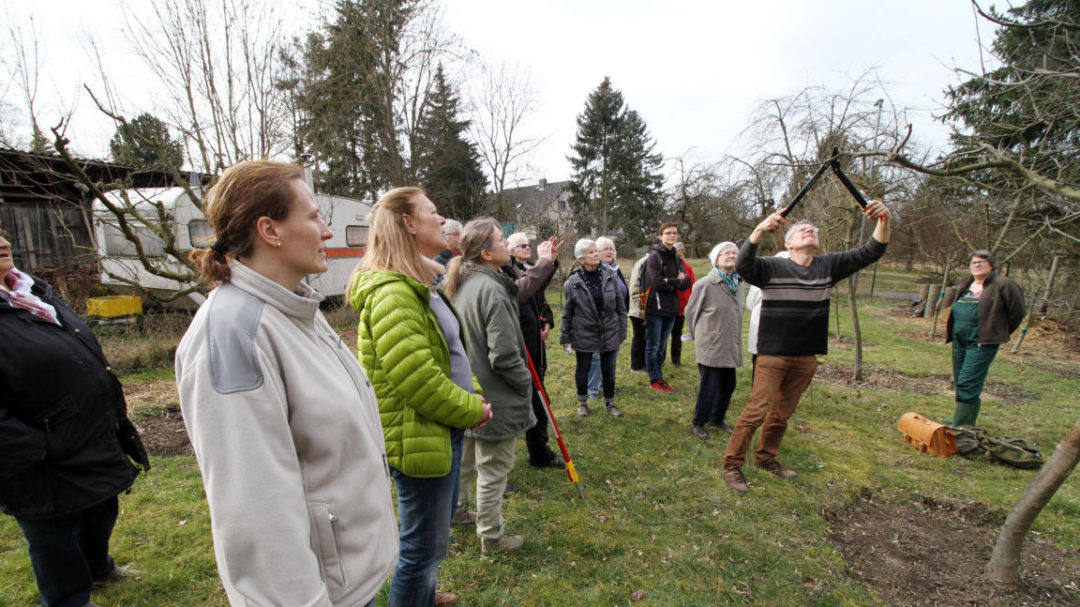 Steinbergfrauen suchen männer