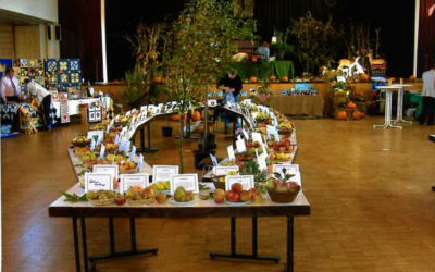 Dankeausstellung