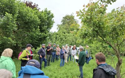 4. Juni: Naturkundliche Wanderung zum Lehrgarten
